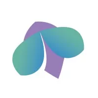 CloverStrategy