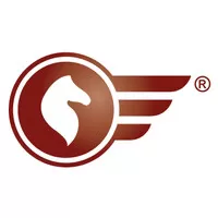 Pegasi - Serviços e Consultoria, Lda