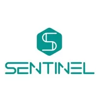 Sentinel Smart Vision